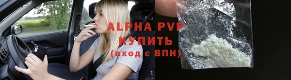 стафф Алексин