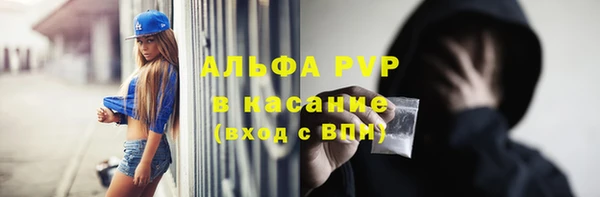 стафф Алексин