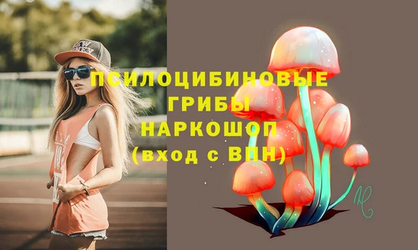 ГАЛЛЮЦИНОГЕННЫЕ ГРИБЫ Алзамай