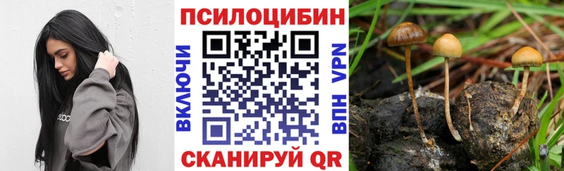 МЕГА вход  Уварово  Псилоцибиновые грибы MAGIC MUSHROOMS 
