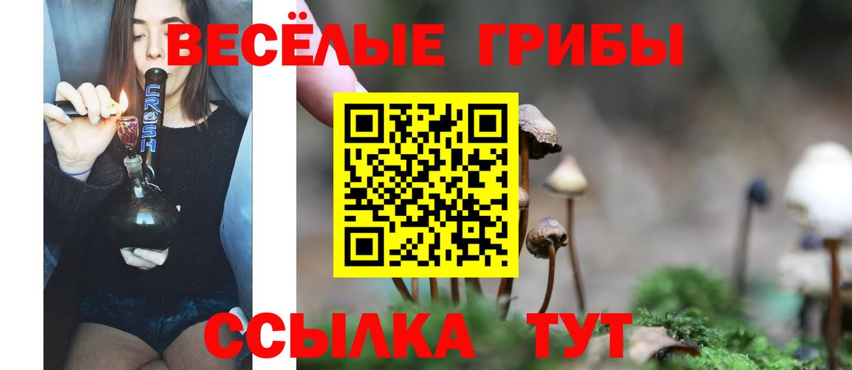 Псилоцибиновые грибы прущие грибы Уварово